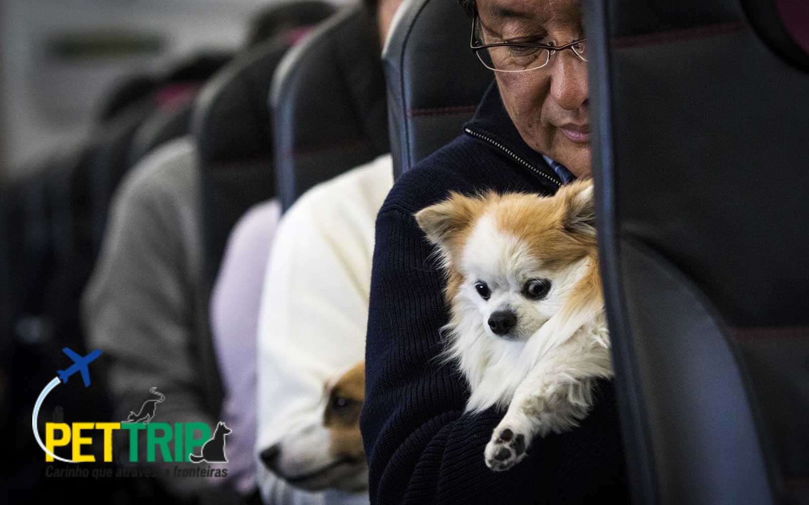Meu PET pode viajar dentro da cabine do avião?
